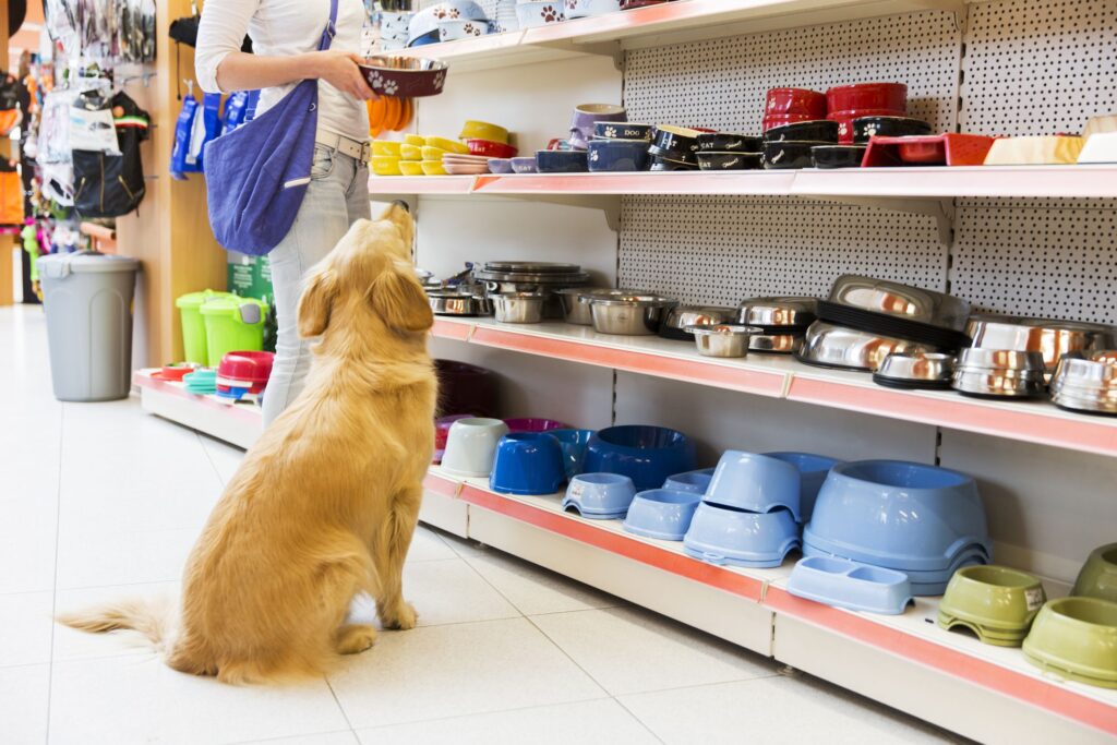 Points, Perks and Puppers: 5 Best Pet Store Loyalty Programs –   Blog